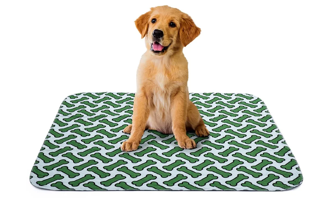 waschbares Hunde-Pad